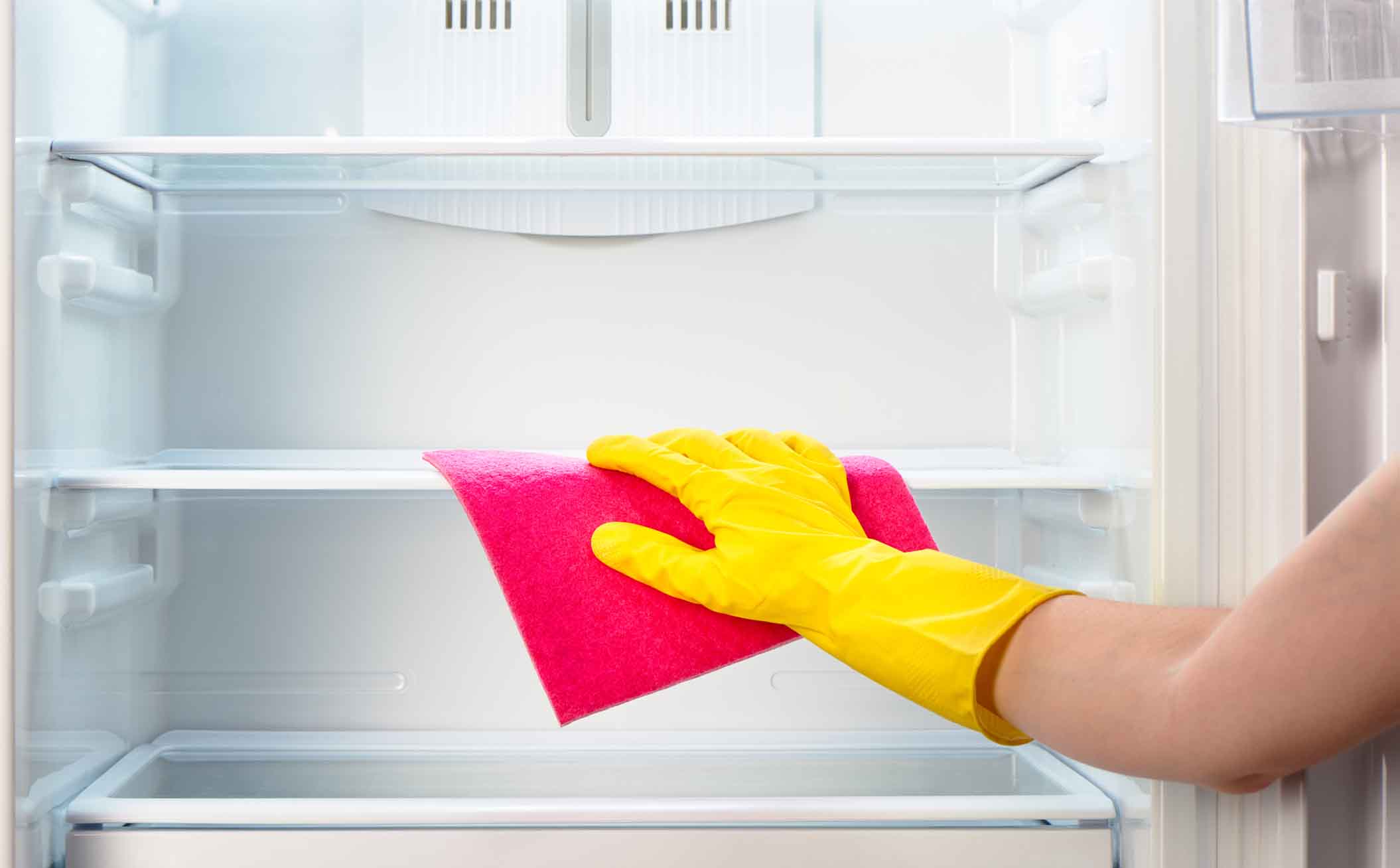 Fridge & Oven Cleaning
