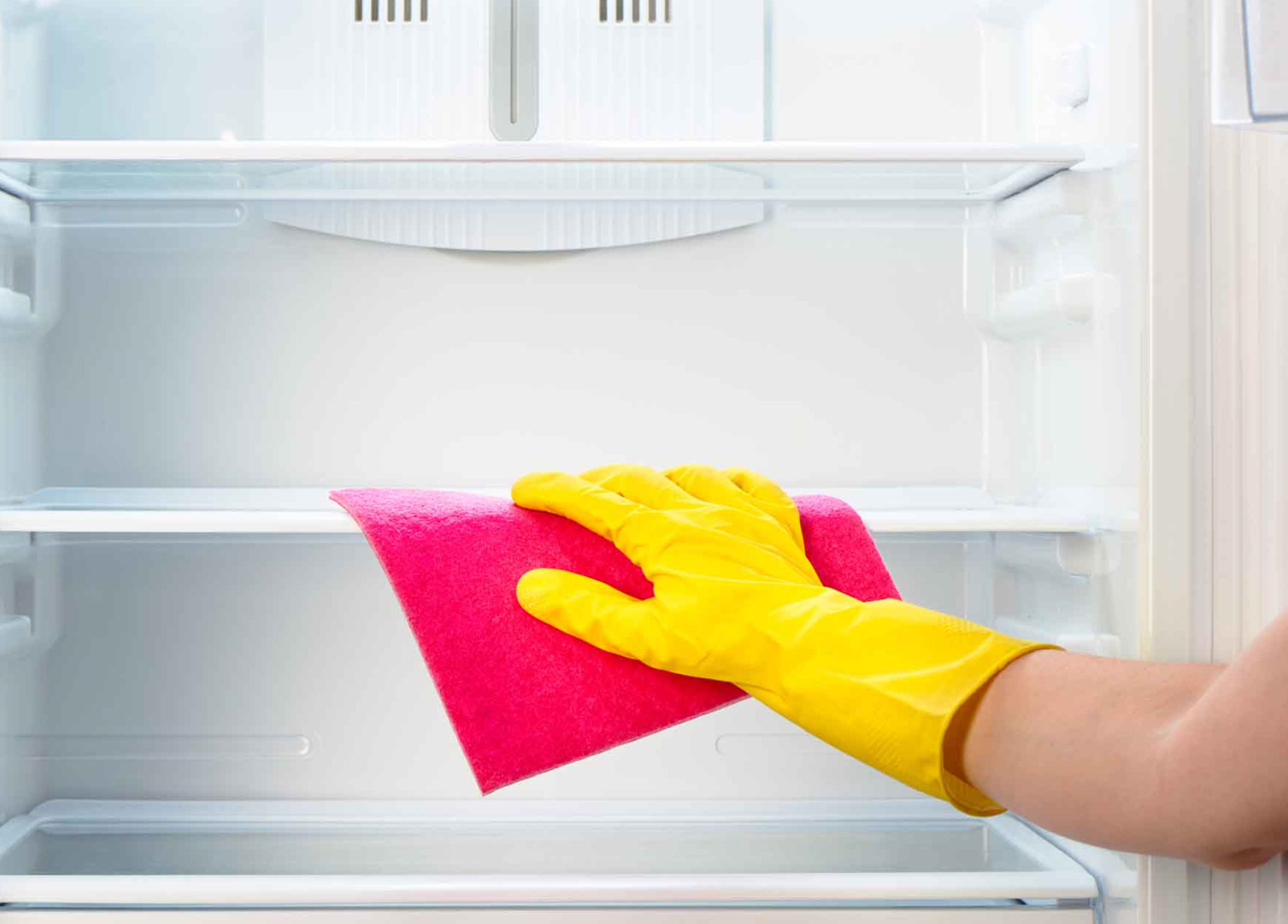 Fridge Cleaning in Livermore, CA