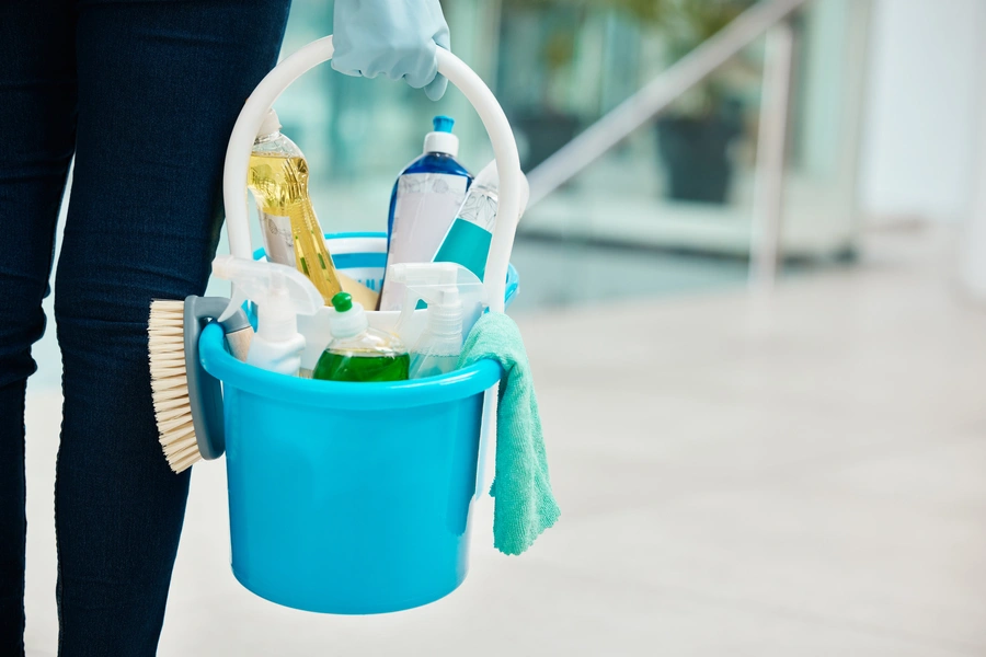 Professional House Cleaning