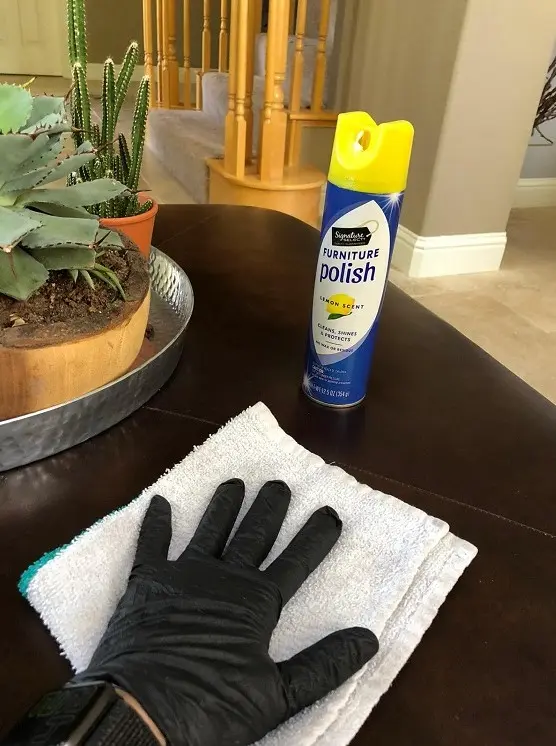 Move-In Cleaning Service