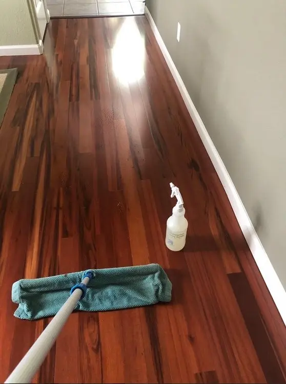 Move-Out Cleaning Service